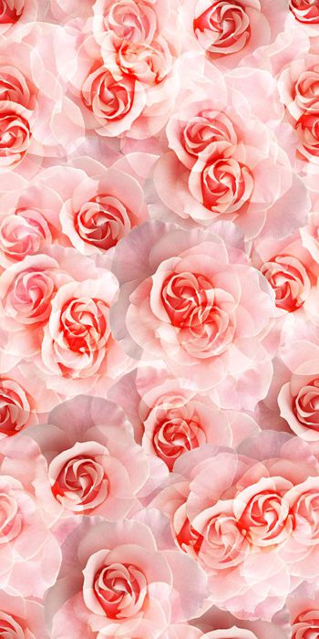 时尚印花华亿平台图片