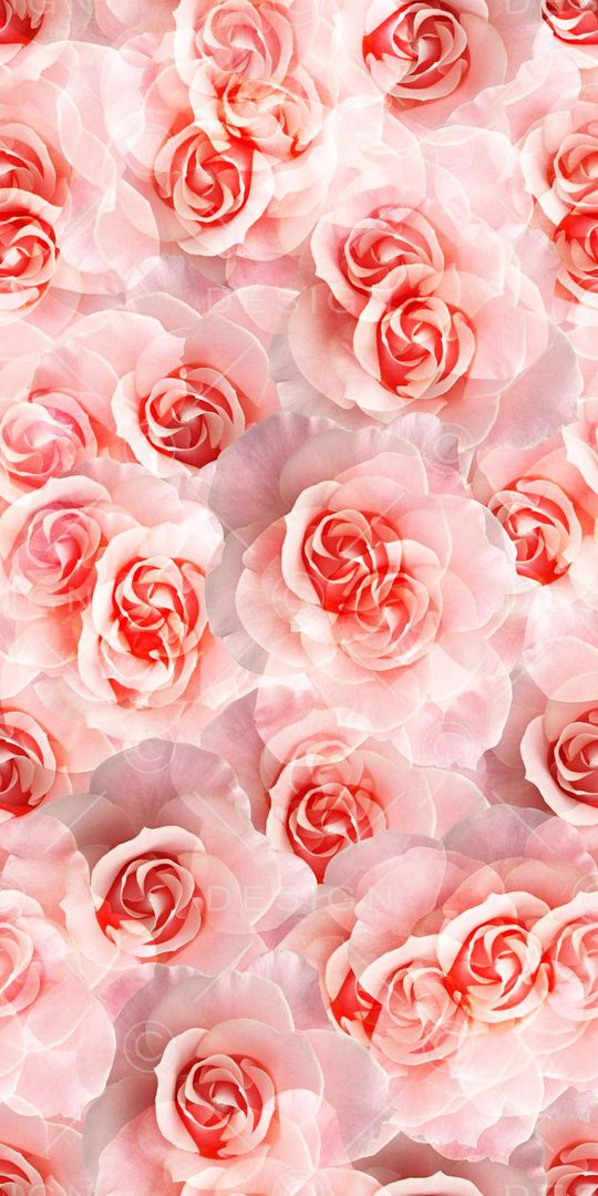 时尚印花华亿平台图片