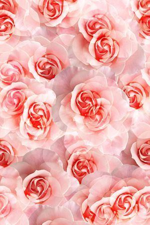 时尚印花华亿平台图片