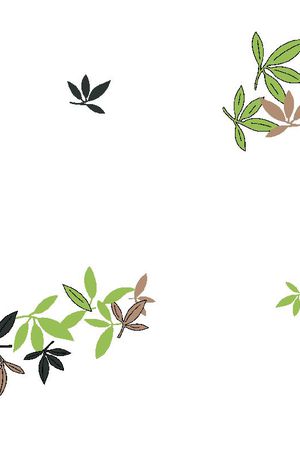 男装华亿平台印花华亿平台图片