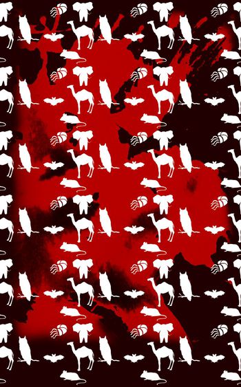 506656-动物彩色图案