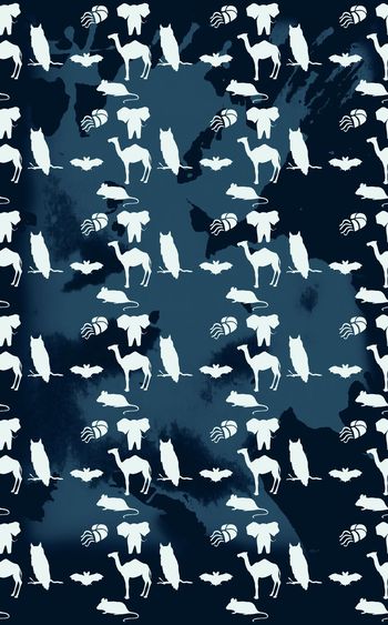 506658-动物彩色图案