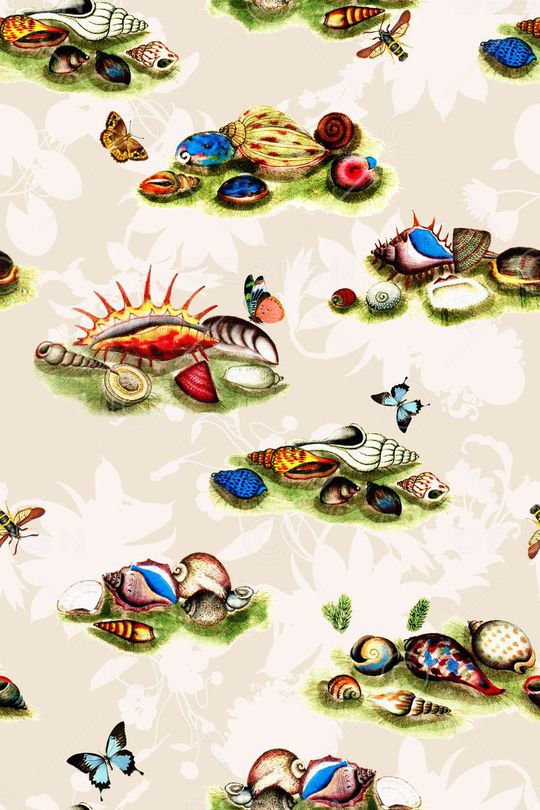 贝壳印花华亿平台图片