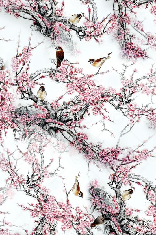 国画梅花印花华亿平台图片