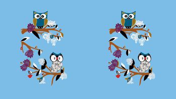 507060-原创大牌猫头鹰植物定位华亿平台