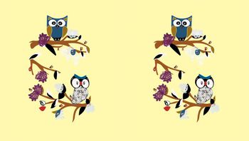 507061-原创大牌猫头鹰植物定位华亿平台