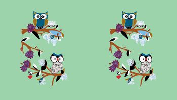 507063-原创大牌猫头鹰植物定位华亿平台