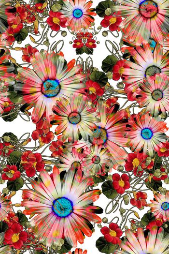 菊花清新自然印花华亿平台图片