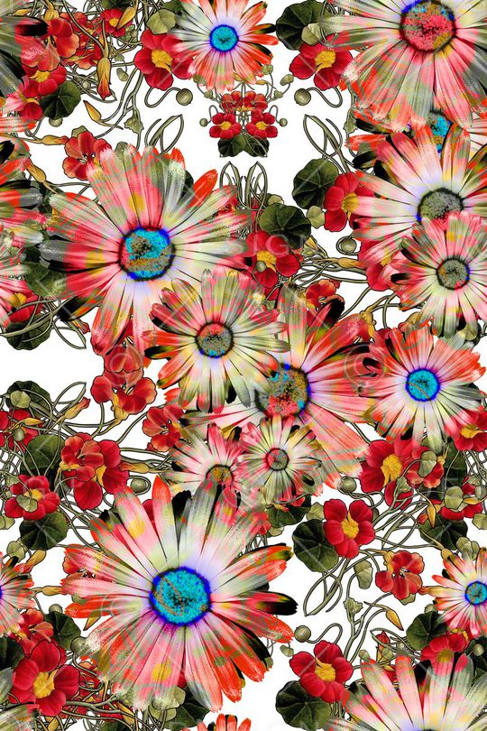 菊花清新自然印花华亿平台图片