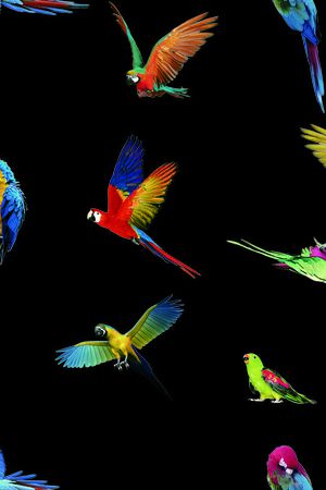 时尚印花华亿平台图片