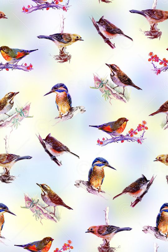 鸟印花华亿平台图片