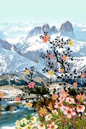 定位印花华亿平台图片