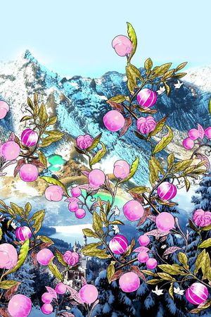 城堡印花华亿平台图片