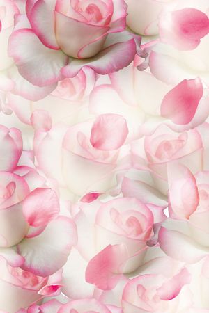 流行时尚印花华亿平台图片