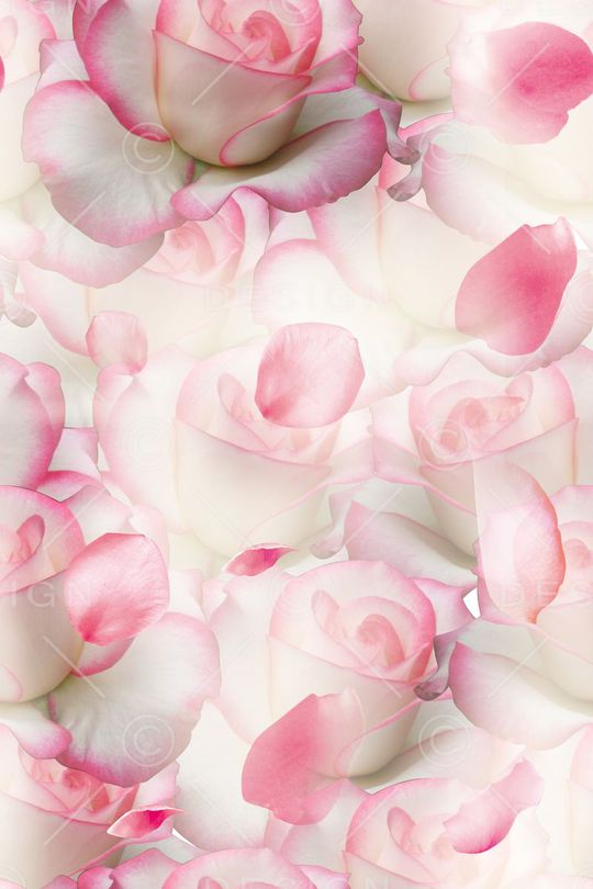 流行时尚印花华亿平台图片