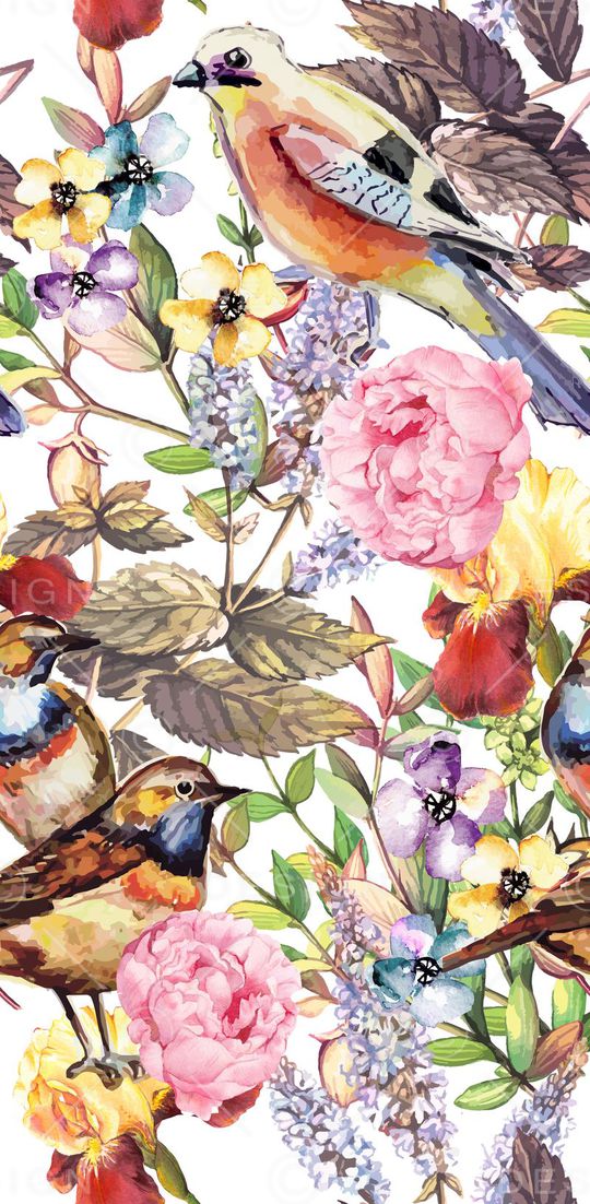 鸟印花华亿平台图片