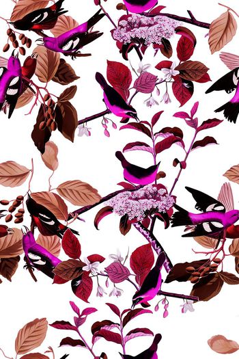 507539-时尚 休闲 花鸟 数码 服装 面料