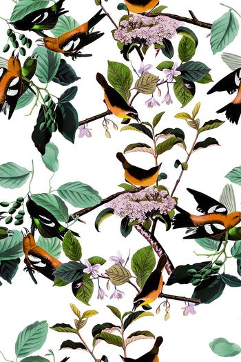 507541-时尚 休闲 花鸟 数码 服装 面料