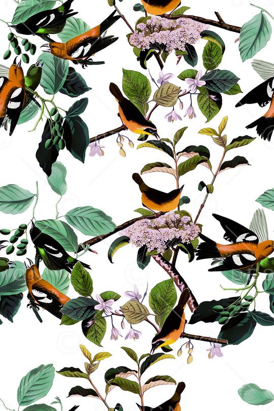 花鸟印花华亿平台图片