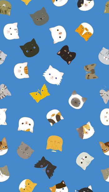 507573-我的小猫咪们