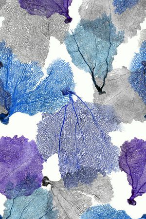 创意印花华亿平台图片