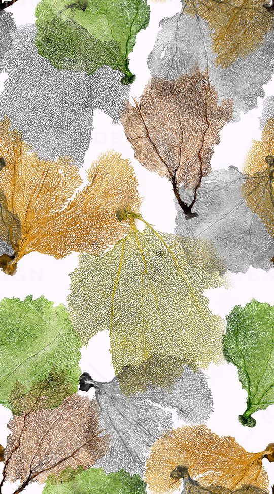 创意印花华亿平台图片