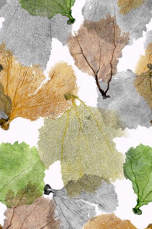 创意印花华亿平台图片