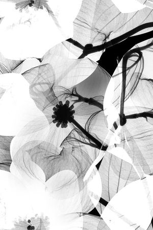 T恤卫衣数码印花印花华亿平台图片