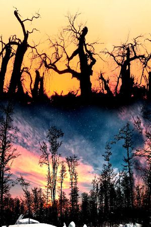 定位印花华亿平台图片