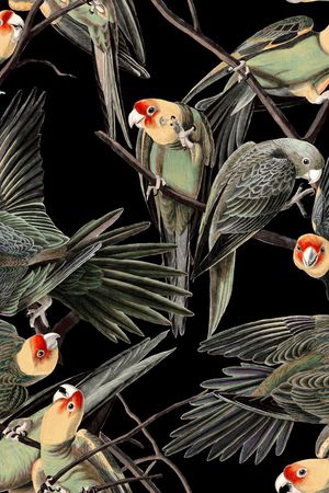 潮流时尚印花华亿平台图片