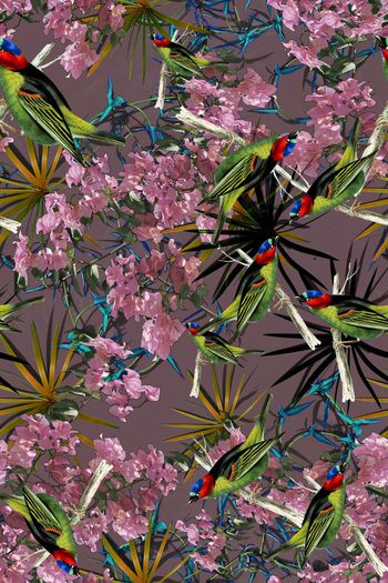 丛林鸟田园风印花华亿平台图片