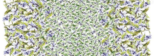 原创印花华亿平台图片