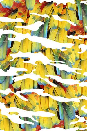 潮流男装印花华亿平台图片