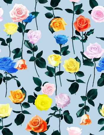 508571-甜美玫瑰花组合