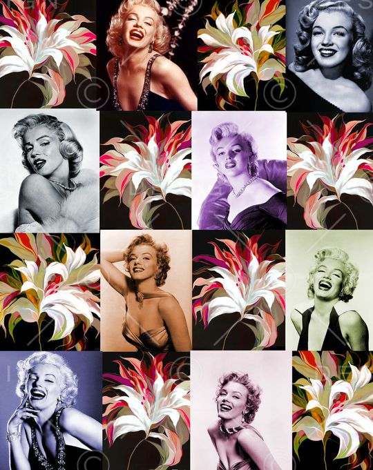 欧美风格印花华亿平台图片