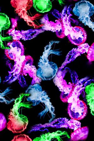 绚丽多彩印花华亿平台图片