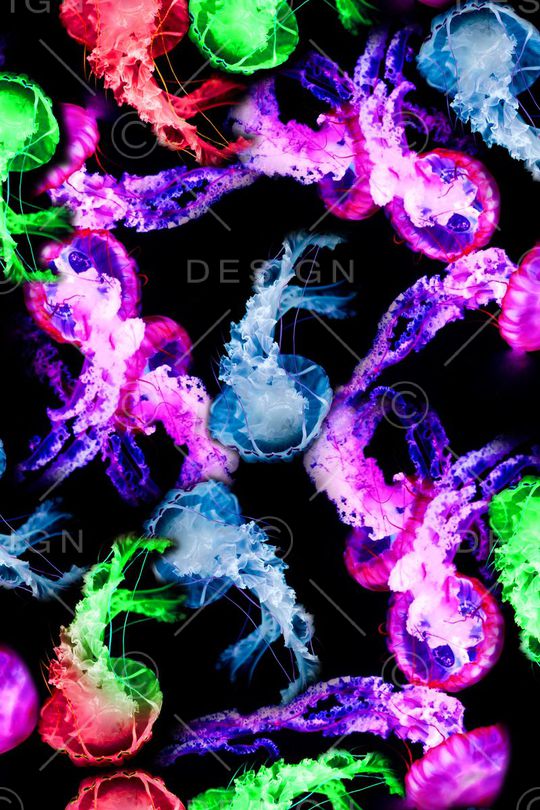 绚丽多彩印花华亿平台图片