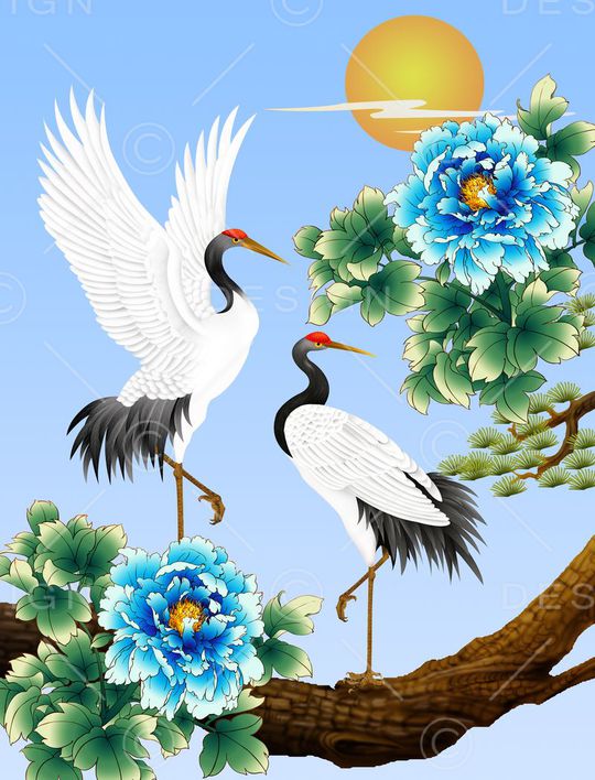 女装印花华亿平台图片