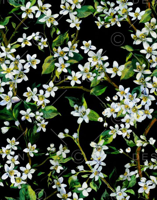 大牌印花华亿平台图片