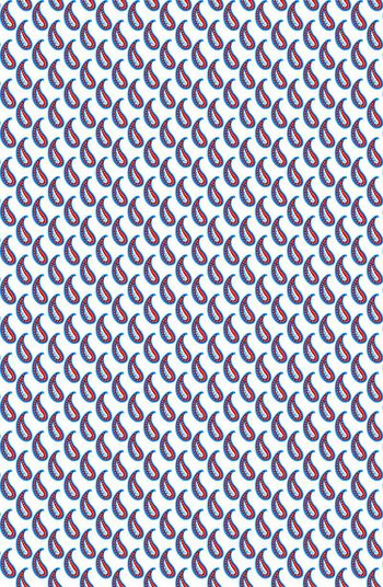 508851-满版佩斯利小花设计