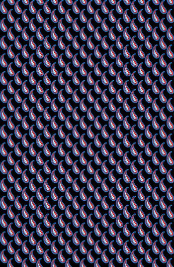 508854-满版佩斯利小花设计