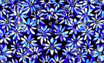 508895- 蓝色焰火 手绘菊花 手绘蓝彩华亿平台