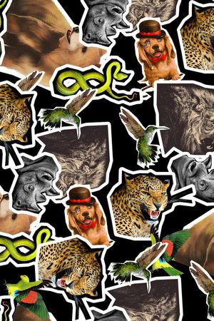 潮流时尚印花华亿平台图片