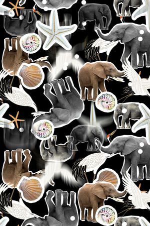 贝壳印花华亿平台图片