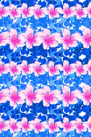 流行时尚印花华亿平台图片