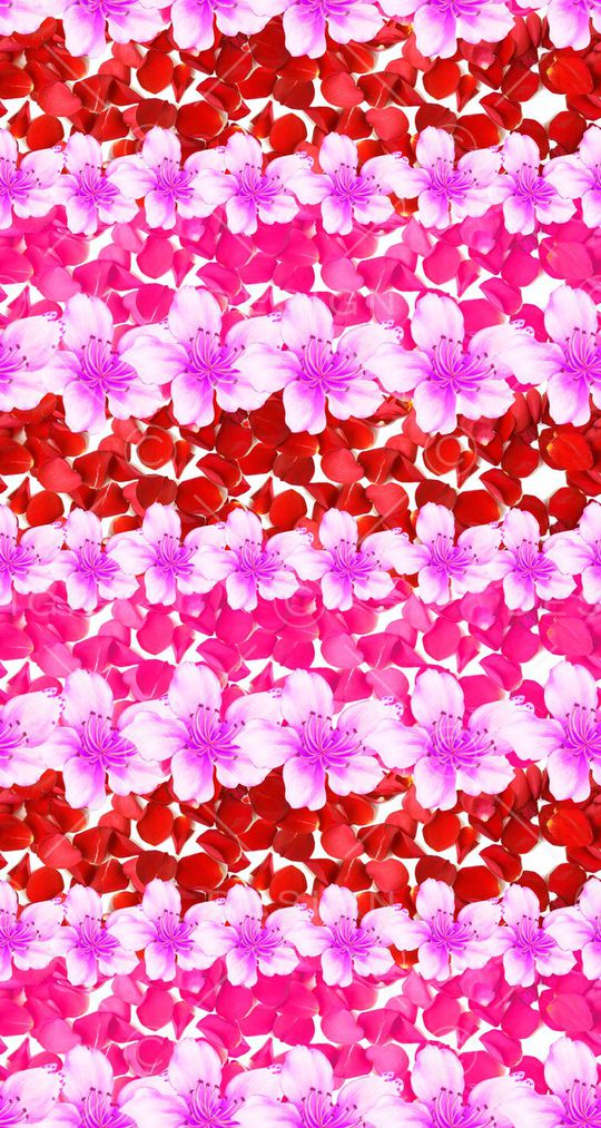 MAX-中国风印花华亿平台图片