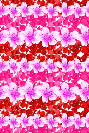 MAX-中国风印花华亿平台图片