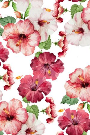 百合花印花华亿平台图片