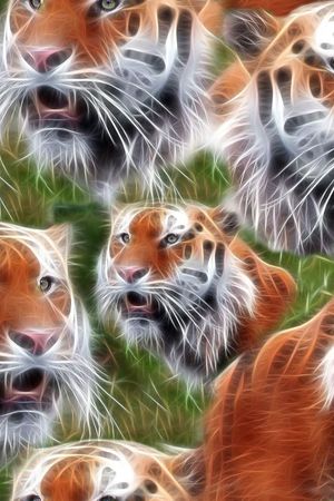 动物皮纹印花华亿平台图片