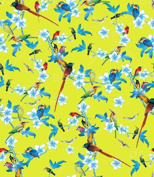 百鸟争鸣印花华亿平台图片